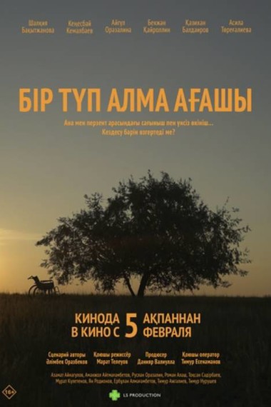 Бір түп алма ағашы