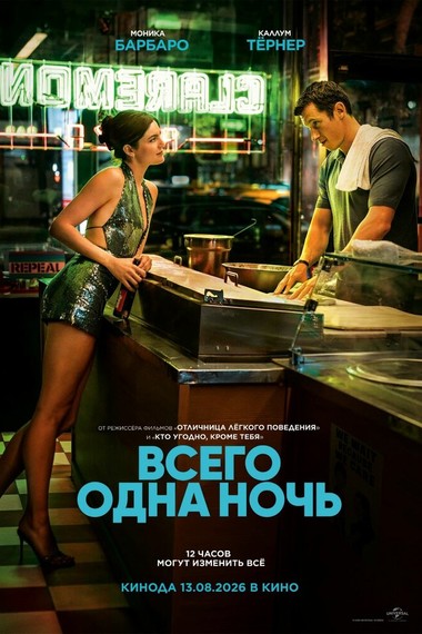 Всего одна ночь